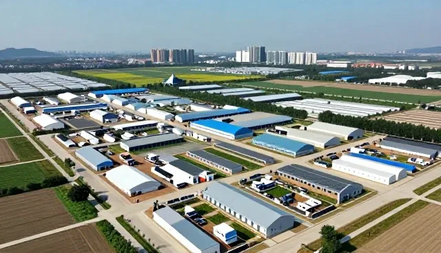 品牌策划如何适应不同市场环境与运营条件